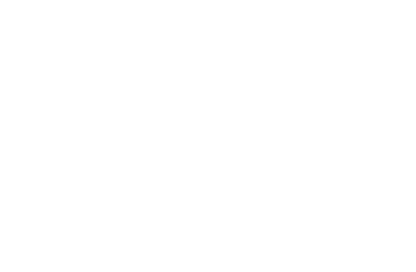 logo bibo